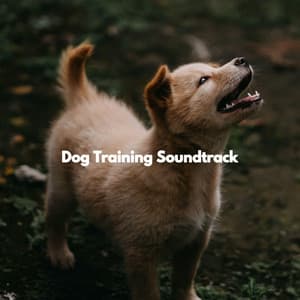 Dog Training Soundtrack - Music for Dogs Playlist