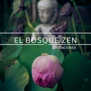 El Bosque Zen 20 Canciones: Música Japonesa y Tibetana para Meditar y Descansar la Mente - Paraíso Secreto