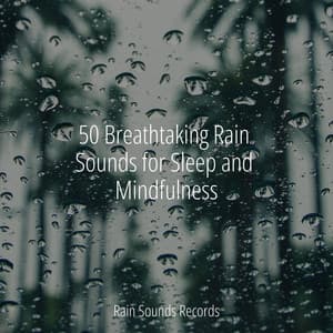 50 Breathtaking Rain Sounds for Sleep and Mindfulness - Anxiety Relief