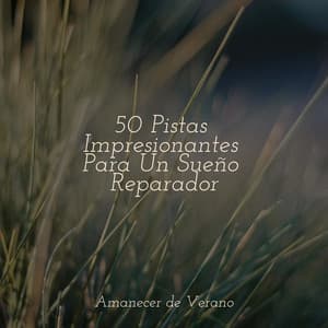 50 Pistas Impresionantes Para Un Sueño Reparador - Sons da Natureza