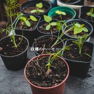 収穫のハーモニー - Relaxing BGM Project