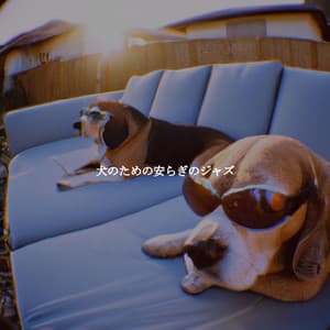 犬のための安らぎのジャズ - Slow Jazz