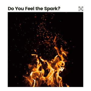 Do You Feel the Spark? - Fireplace FX Studio