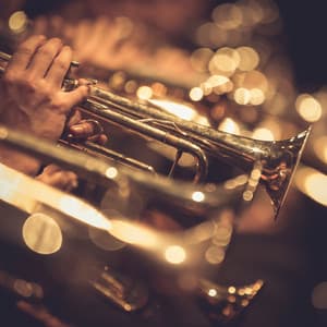 Gentle Relaxation Orchestra: Classical Sounds - Eloy Perez