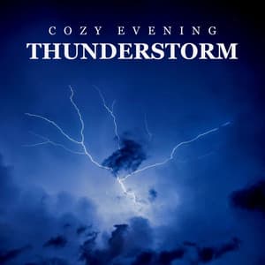 Cozy Evening: Thunderstorm - Background Noise From TraxLab