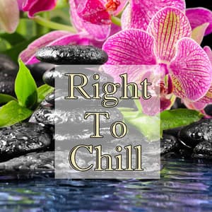 Right To Chill, Vol.2 - Feng Shui