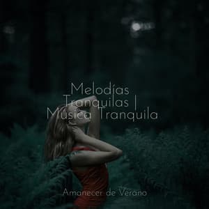 Melodías Tranquilas | Música Tranquila - Música para Correr