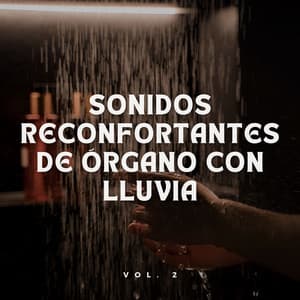 Sonidos Reconfortantes De Órgano Con Lluvia Vol. 2 - Lluvia Olivia