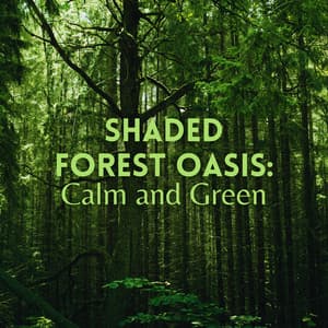 Shaded Forest Oasis: Calm and Green - Foresty Ambient Noises