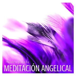 Música para la Meditación Angelical: Canciones para Alimentar el Espíritu - Meditación Maestro