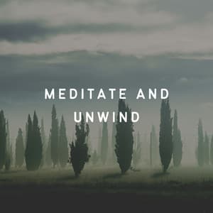 Meditate and Unwind - The White Noise Travelers