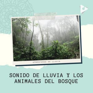 Sonido de Lluvia y los Animales del Bosque - Atmósferas de Lluvia