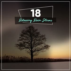 14 Zen Rain Tracks for Yoga - Ambientalism