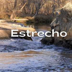 Notas Del Estrecho - Grabaciones de la naturaleza