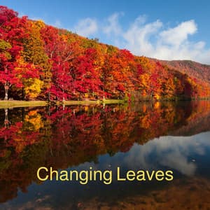 Changing Leaves - Serenity of Sound