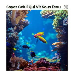 Soyez Celui Qui Vit Sous L'eau - Vagues De L'Ocean