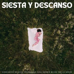 Siesta Y Descanso: Corrientes De Agua Tranquilas Para Dormir Mejor Por La Noche - Chill Relajente