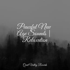 Peaceful New Age Sounds | Relaxation - Rain Sounds & White Noise