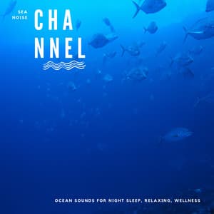 Ocean Sounds for Night Sleep, Relaxing, Wellness - Sea Noise Channel