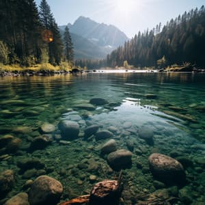 Sonidos De La Corriente: Ritmo Suave De Las Aguas - Proyecto Naturaleza Ambiental