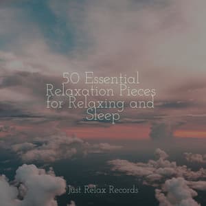 50 Essential Relaxation Pieces for Relaxing and Sleep - Meditación