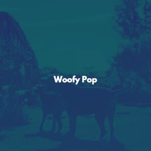 Woofy Pop - Music for Work Playlist