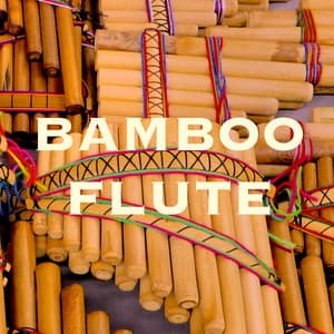 Bamboo Flute: Musique Asiatique pour Méditation Trascendental et Mindfulness - Relax for Life