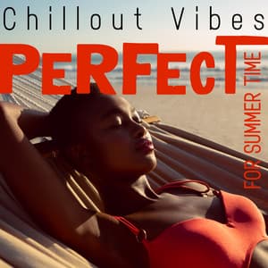 Chillout Vibes Perfect for Summer Time - Ibiza Lounge Club