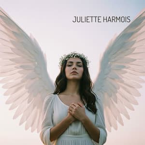 Les ailes de l’équilibre céleste - Juliette Harmois