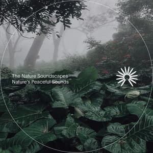Nature's Peaceful Sounds - The Nature Soundscapes