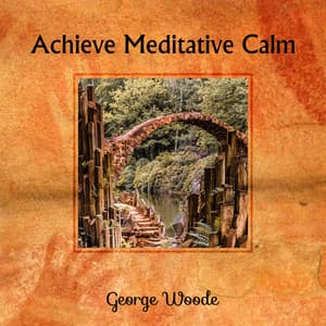 Achieve Meditative Calm - George Woode