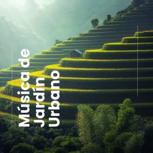 Música de Jardín Urbano - Mia Paleta