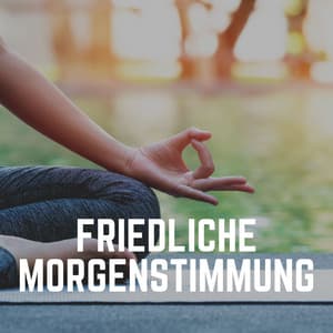 Friedliche Morgenstimmung - Meditationsmusik Künstler
