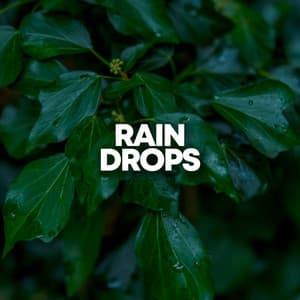 Rain Drops - Rain Recorders
