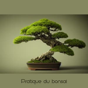 Pratique du bonsaï: Méditation zen pour l'harmonie et l'équilibre de votre esprit, corps et âme - Relaxation mentale