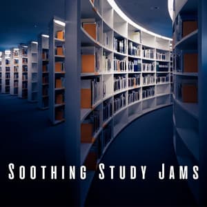 Soothing Study Jams: Lofi Tunes for Cognitive Enhancement - lofi stu