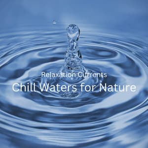 Relaxation Currents: Chill Waters for Nature - Calm Water Sounds