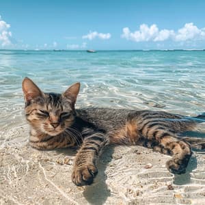 Paisaje De Gatos: Armonía De Melodías Oceánicas - Música de gatos