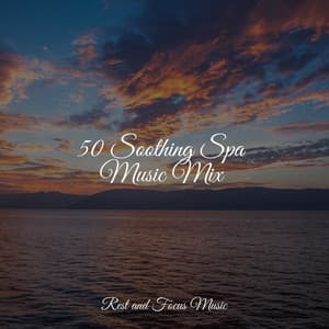 50 Soothing Spa Music Mix - Deep Focus