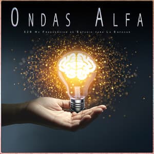 Ondas Alfa: 528 Hz Frecuencias de Estudio para La Enfocar - Concentracíon