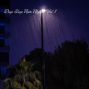 Deep Sleep Rain Rhythm Vol. 1 - Sleep Sounds of Nature