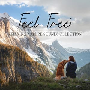 Feel Free: Relaxing Nature Sounds Collection - Sound of Nature Library