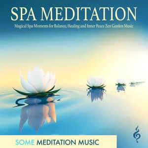 Spa Meditation: Some Meditation Music for Spa, Massage, Yoga, Balance, Healing and Inner Peace Zen Garden - Meditation Music Experience