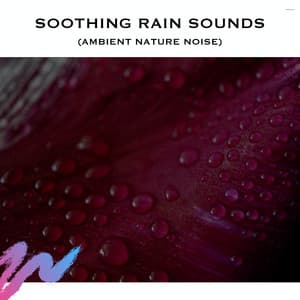 Soothing Rain Sounds - White Noise Radiance