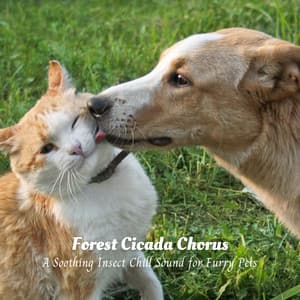 Forest Cicada Chorus: A Soothing Insect Chill Sound for Furry Pets - Nature Caldwell