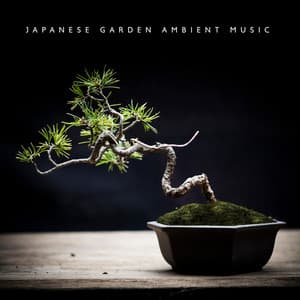 Japanese Garden Ambient Music: Calming Water Sounds, Close to Nature - Japanese Relaxation and Meditation