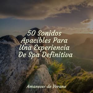 50 Sonidos Apacibles Para Una Experiencia De Spa Definitiva - Relaxing Mindfulness Meditation Relaxation Maestro