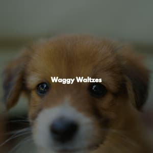 Waggy Waltzes - Coffeehouse Lounge
