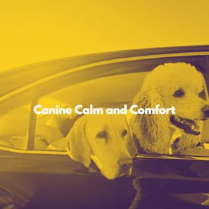 Canine Calm and Comfort - Relaxing Dog Music Classics