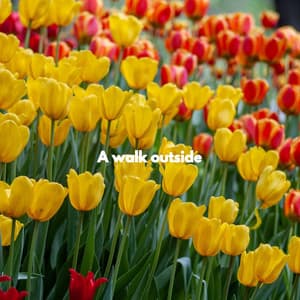 A walk outside - Smooth Dinner Jazz Group